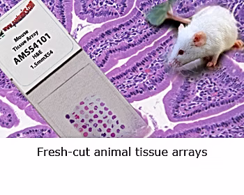 3145b3_03fe9c50be5a49c99e268335166bc5a9~mv2