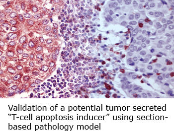 3145b3_230d65ffecf04551b4ef2019d345abed~mv2