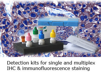 3145b3_2c512e24679e406aa086364bf7266890~mv2