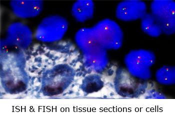 3145b3_6143b387597e48909a99f173909ecf4d~mv2