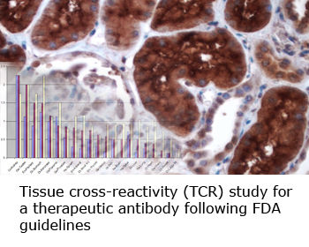 3145b3_693964ee67f94294b8111dbb86717655~mv2