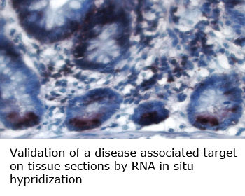 3145b3_b6e9e4c7f36240579bafd16b830bc621~mv2