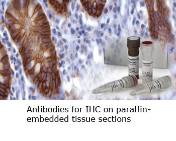 3145b3_b80d3fc0841b46df8b9fd63f7aba946b~mv2