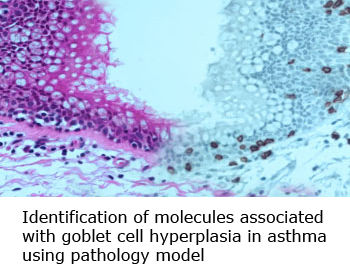 3145b3_e860c32f893a446ba97b752ff8742f74~mv2