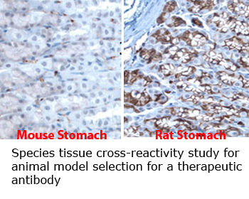 3145b3_eb89380bb1474f52acecff936d854a54~mv2