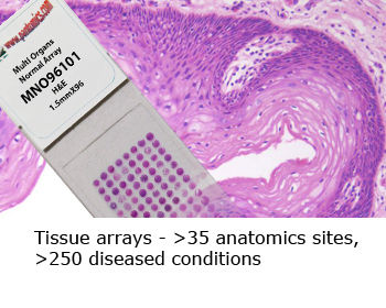 3145b3_f5b44890d14a4633af36f273fddc1dcf~mv2