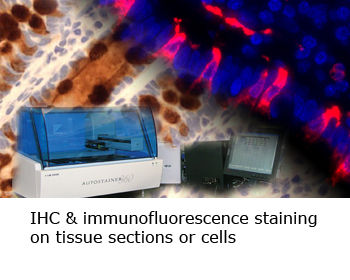 3145b3_fd4c02d127374bcc88ce139ec9e1a86c~mv2